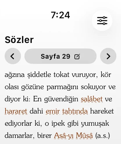 Risale-i Nur